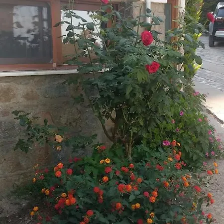Egeria Houses * Bodrum